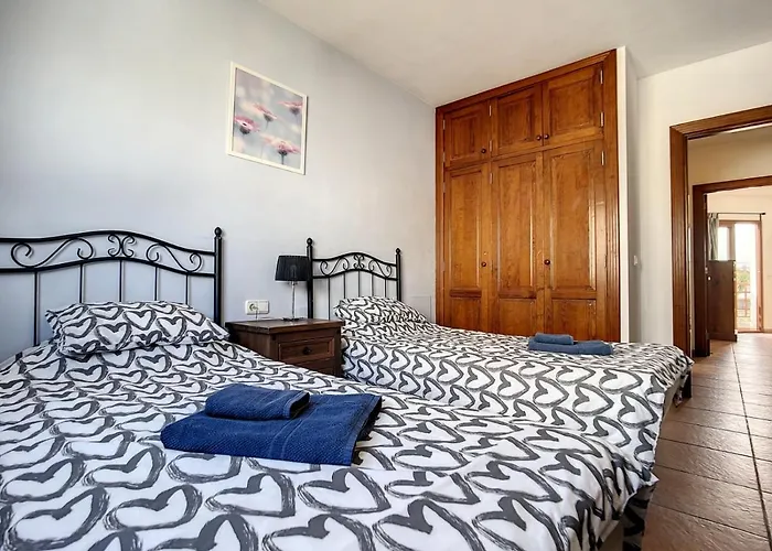 Rosa Gadis 코스타 테기세